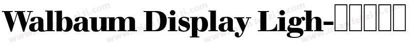 Walbaum Display Ligh字体转换